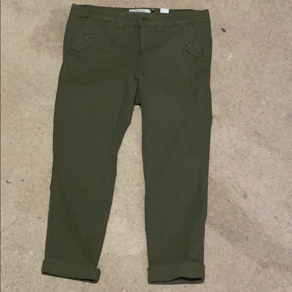 Torrid green pants